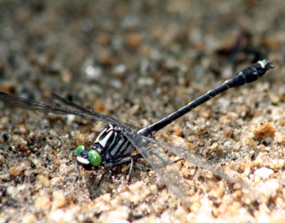 �R���c��