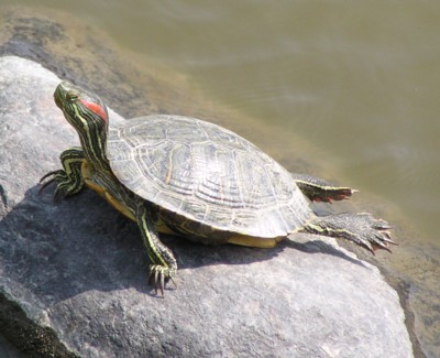 �~�V�V�b�s�Ԏ��T