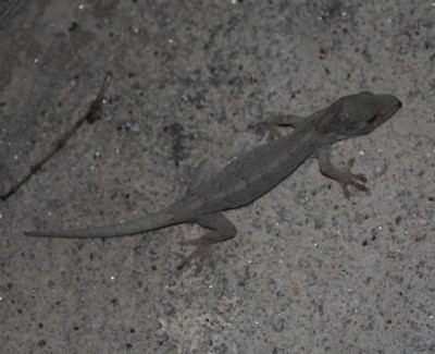 �j�z��������