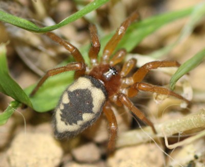 �q���^�O��