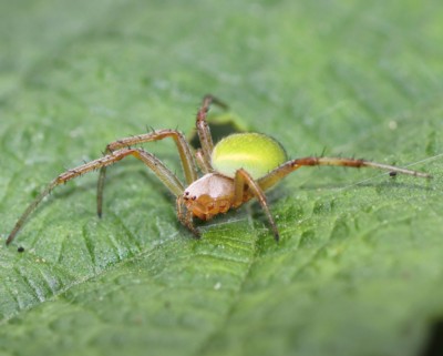 �T�c�}�m�~�_�}�V