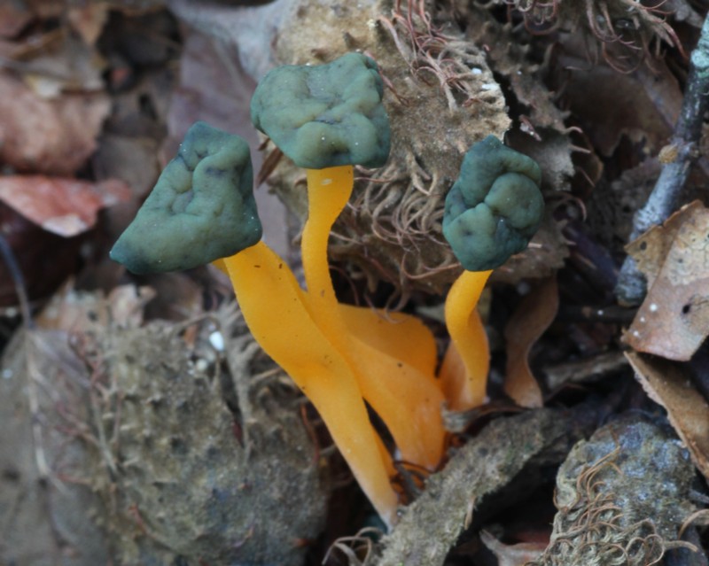 �A�J�G�m�Y�L���^�P