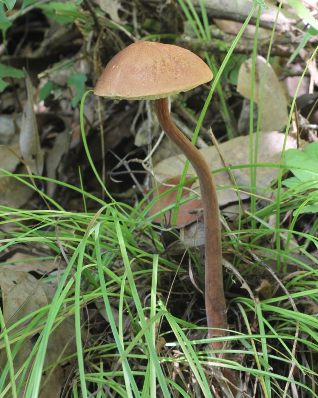 �A�V�i�K�C�O�`