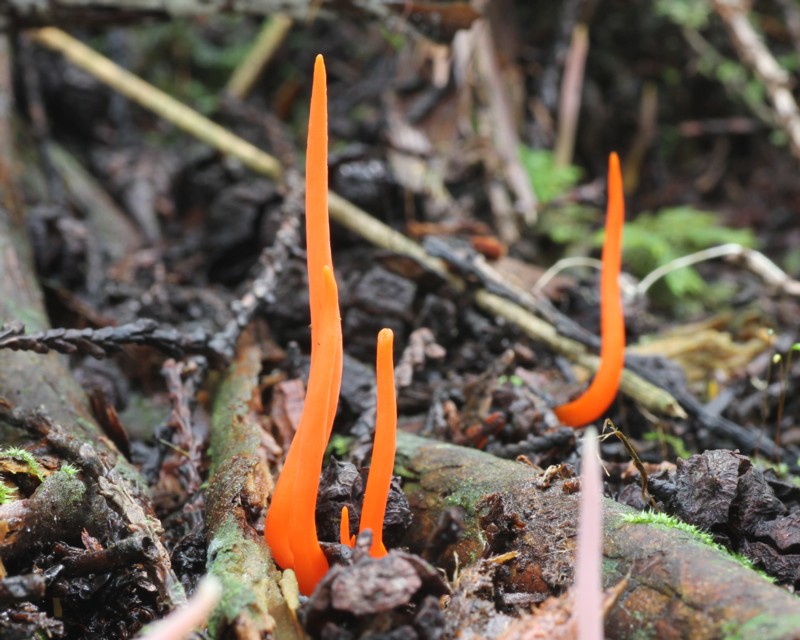 �x�j�i�M�i�^�^�P