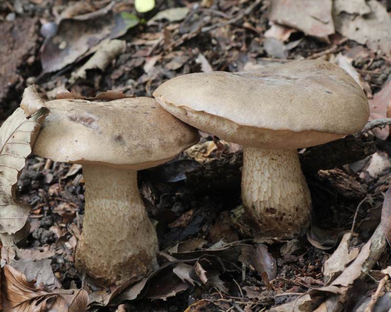 �z�I�x�j�V���A�V�C�O�`