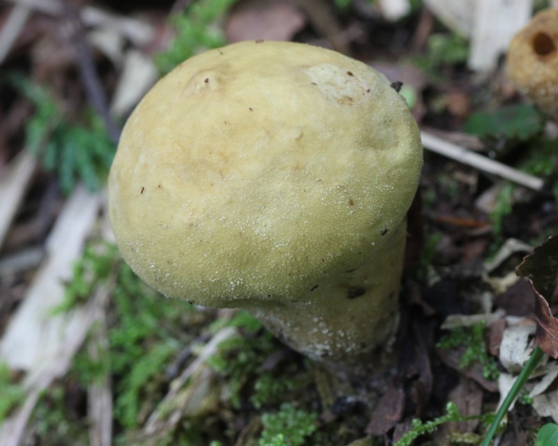 �L�z�R���^�P