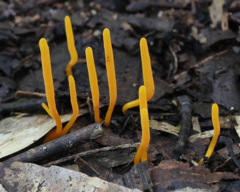 �L�\�E�����^�P