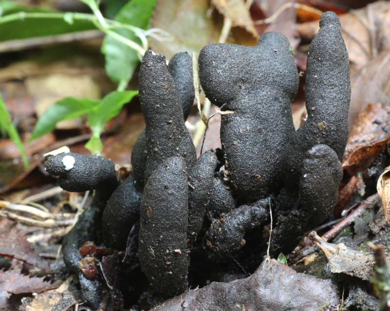 �}���U���^�P