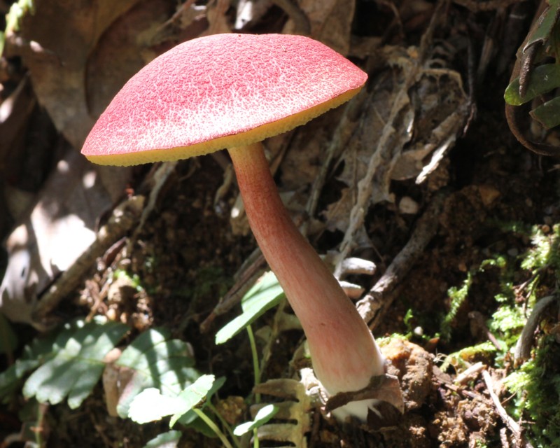 �~���}�x�j�C�O�`