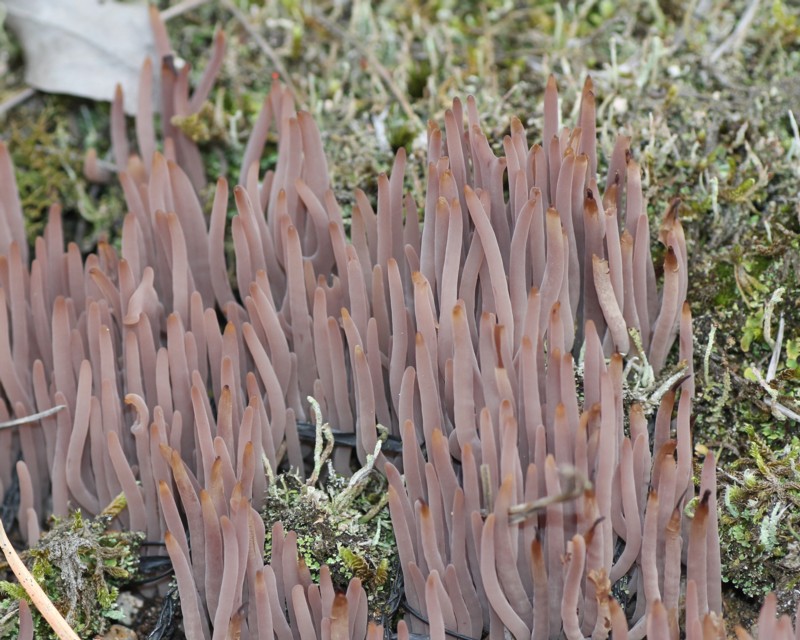 �����T�L�i�M�i�^�^�P