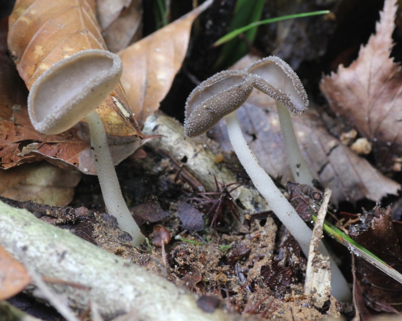 �i�K�G�m�`�������^�P