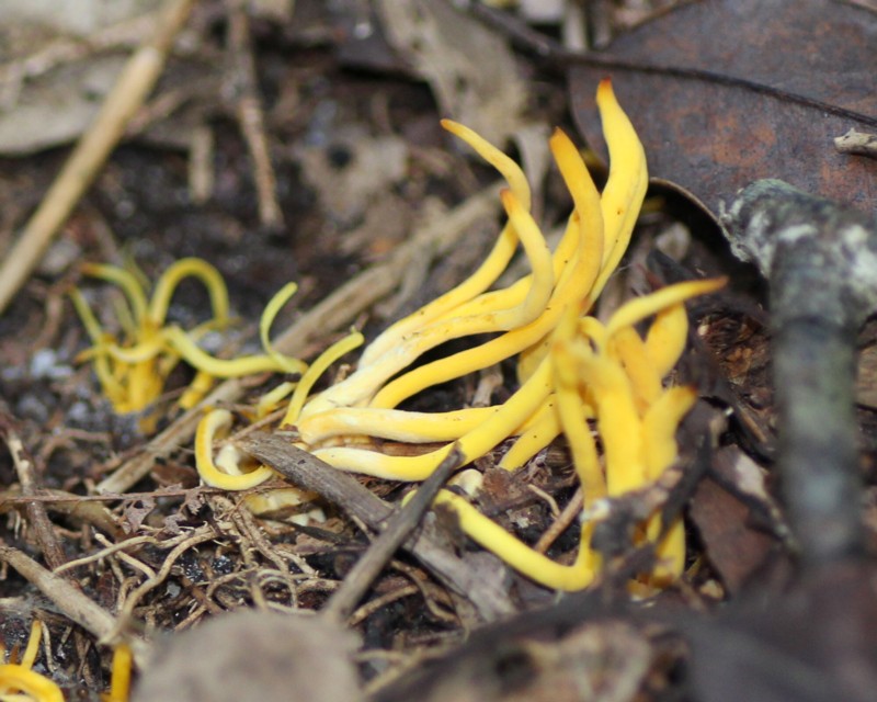 �i�M�i�^�^�P