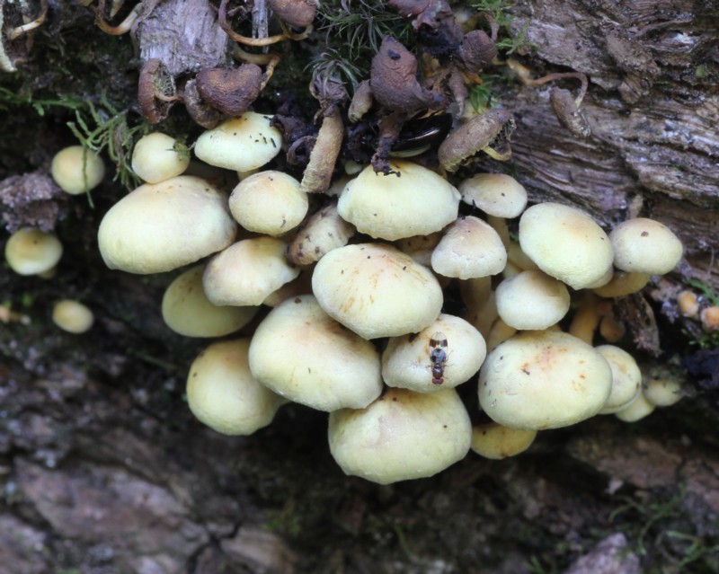 �j�K�N���^�P