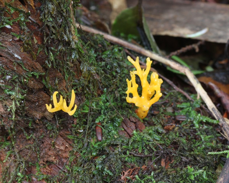 �j�J���z�E�L�^�P