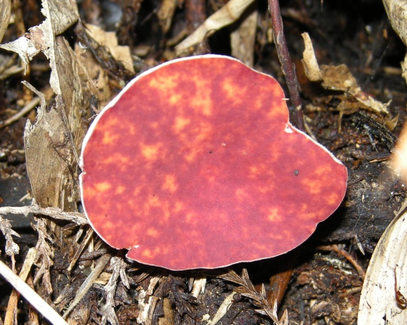 �j�N�A�c�x�j�T���^�P