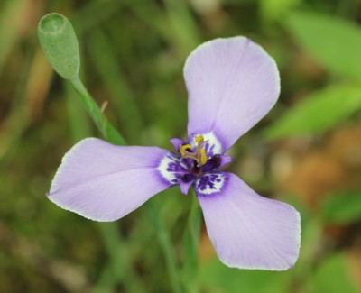 �`���A����