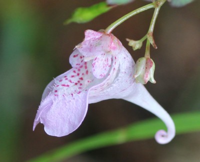 ���B�ޏM��