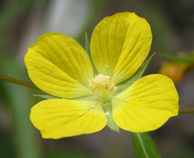 �h�c����