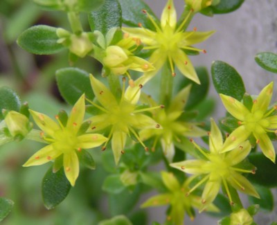 �q�������N��