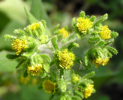 ���i���~