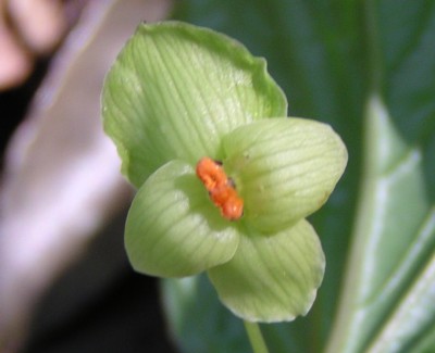 �i�x����