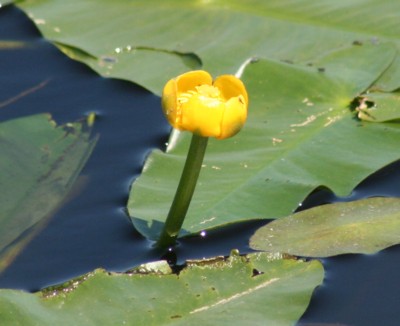 �����͍�