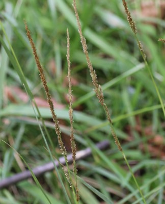 �l�Y�~�m�I