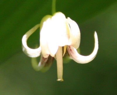 �I�I�o�^�P�V�}����