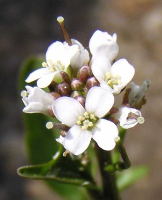 ��t��t��