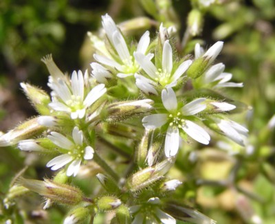 �a�����ؑ�