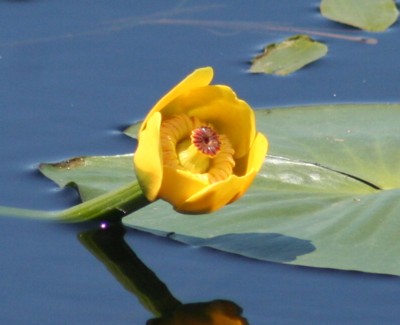 �����͍�