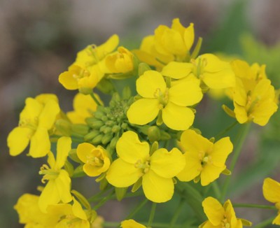 ���m����