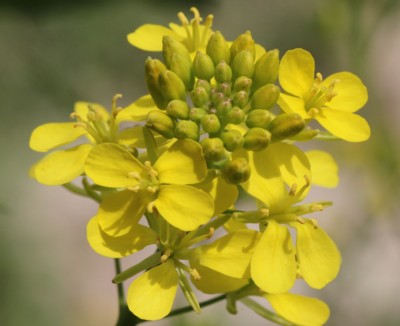 ���m�H�q��