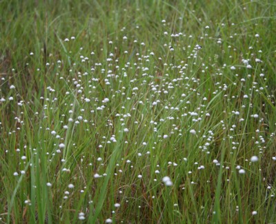 ���ʐ���