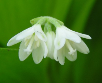 �����N��