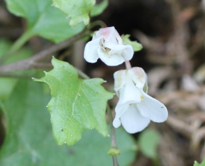 �S���R��