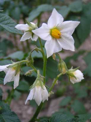 �W���K��