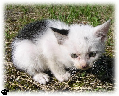 �Ǘ��l�u�V���v