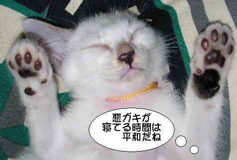 ����16�N7��10��