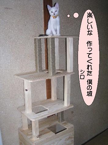 ����16�N7��19��