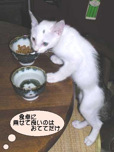 ����16�N7��25��