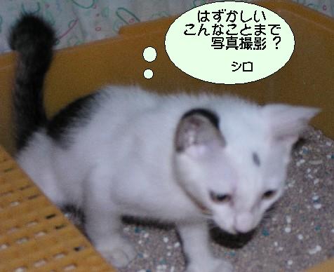 ����16�N7��26��