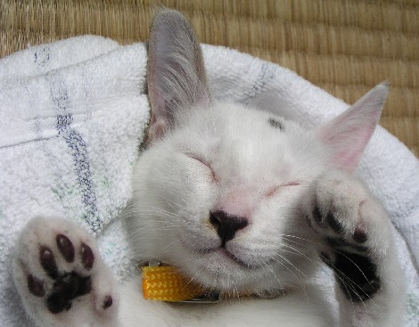 ����16�N8��1��