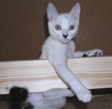 ����16�N8��19��