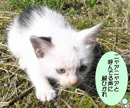 ����16�N6��22��