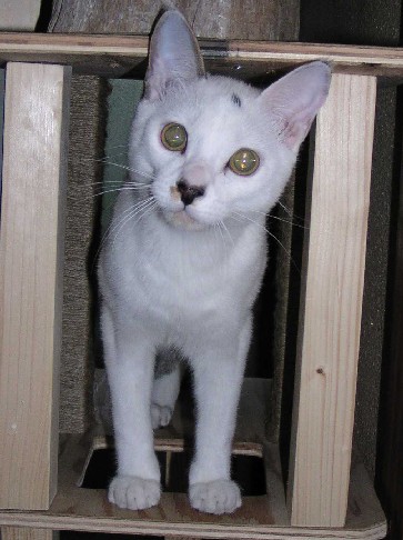 ����16�N11��10��