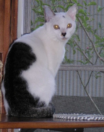 ����16�N11��16��