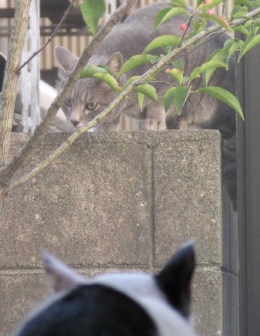 ����16�N11��22��