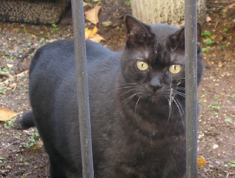 ����16�N11��28��