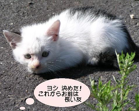 ����16�N6��22��